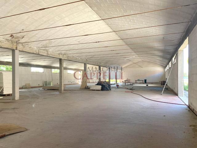 Magazzino in Vendita a Forlimpopoli