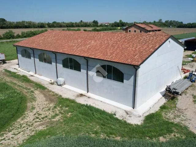 Magazzino in vendita a Vigonza