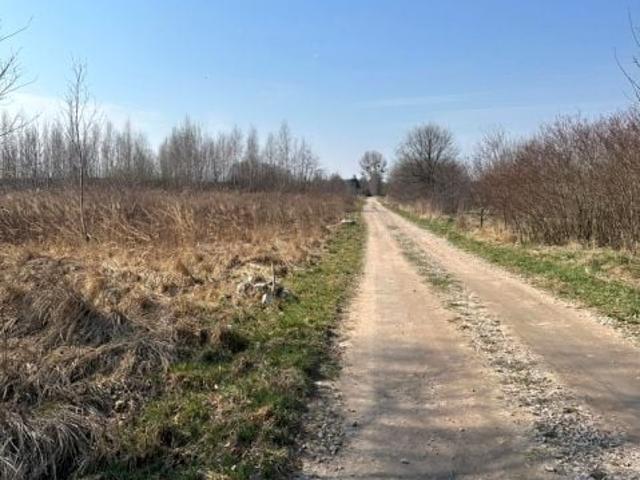 Magiczna 1 000 m², Falenty Nowe