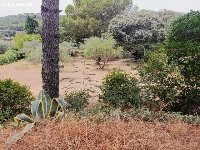 Magnífico chalet en Trassierra con casa de invitados, piscina y licencia turística TOTALMENTE LEGALI