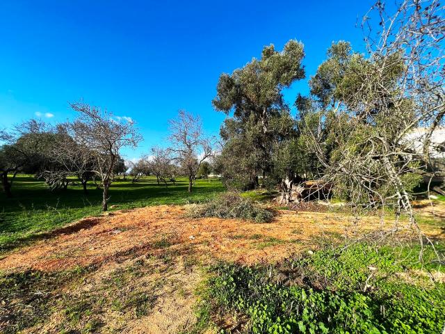Magnifico lote urbano no coração de Albufeira
