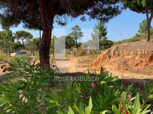 Magnifico lote para construção