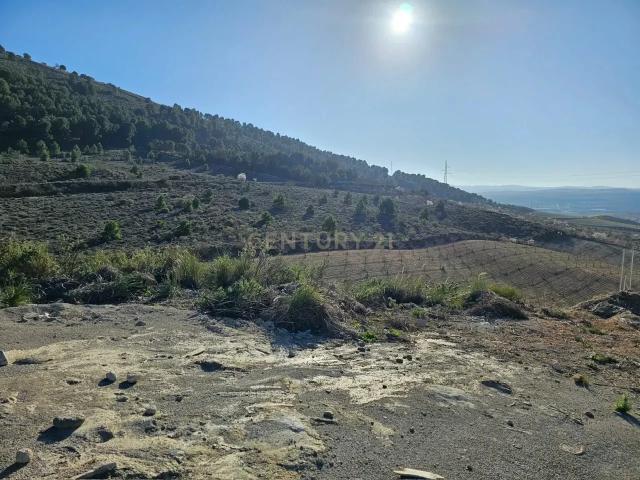 MAGNIFICO SOLAR EN VENTA EN URBANIZACIÓN PRIVADA CAÑADAS DEL PARQUE