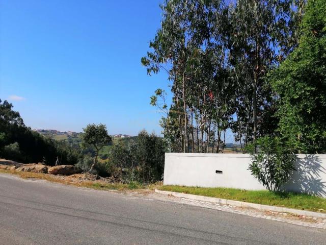 Magnifico Terreno 5,7 Ha