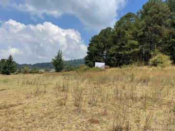MAGNIFICO TERRENO EN VENTA EN MESA RICA