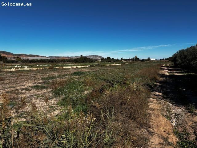 MAGNÍFICO TERRENO EN CAMINO HUERTOS NUEVOS