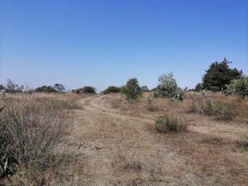 MAGNÍFICO TERRENO RURAL EN HUMILPAN, 10 Ha ESCRITURADO, A UNA HORA DEL CENTRO DE QUERÉTARO