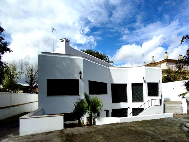 MAGNÍFICOS PISOS EN ALQUILER JUNTO A LA AVENIDA DE LA PALMERA. !