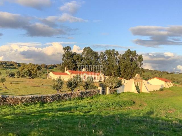 Magnífica Casa Senhorial Barroca em Crato, perto de Portalegre, Alentejo