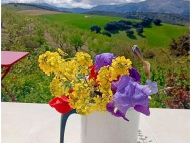 Magnífica finca con cortijo y rodeada de naturaleza en Júrtiga