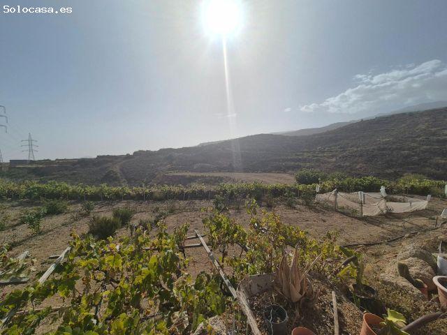 MAGNIFICA FINCA ARICO