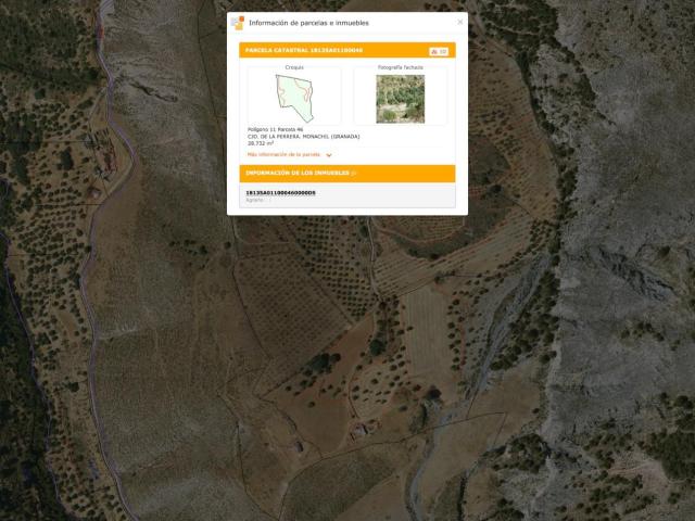 Magnífica finca de 400 olivos en Monachil
