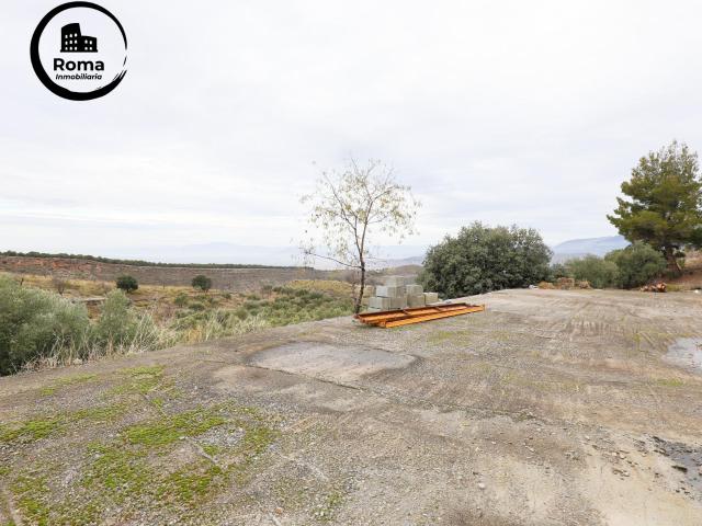 Magnífica finca de 400 olivos en Monachil