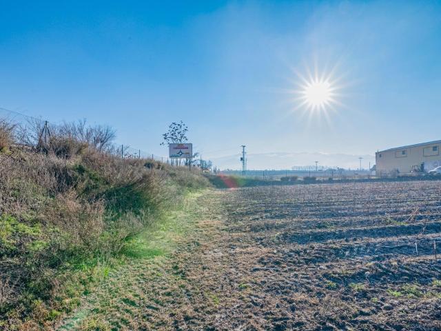 Magnífica finca de regadío en la Vega de Granada, con acceso directo
