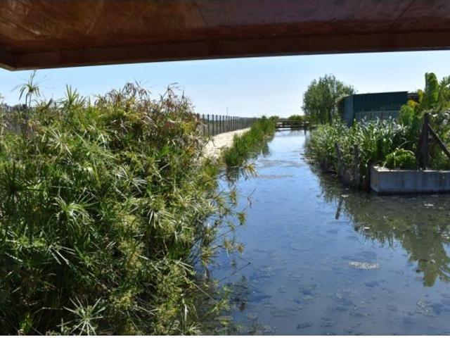 Magnifica finca rustica en el Parque natural del Delta del Ebro!