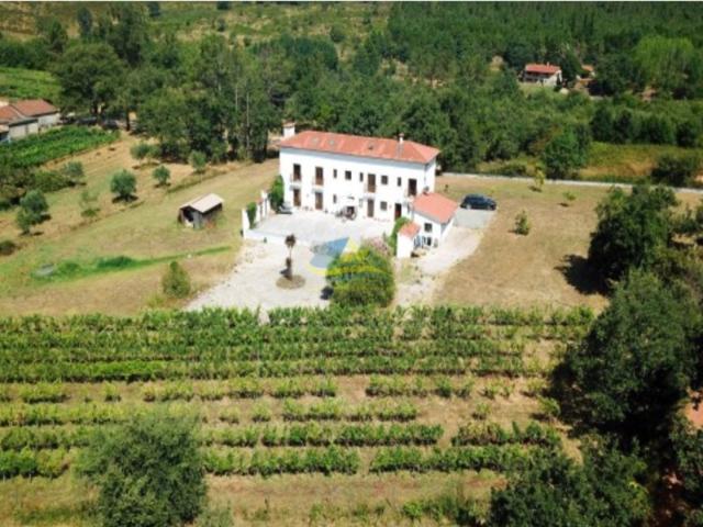 Magnífica moradia T4 com vinha em funcionamento, numa localização muito procurada na vila de Penela, Coimbra