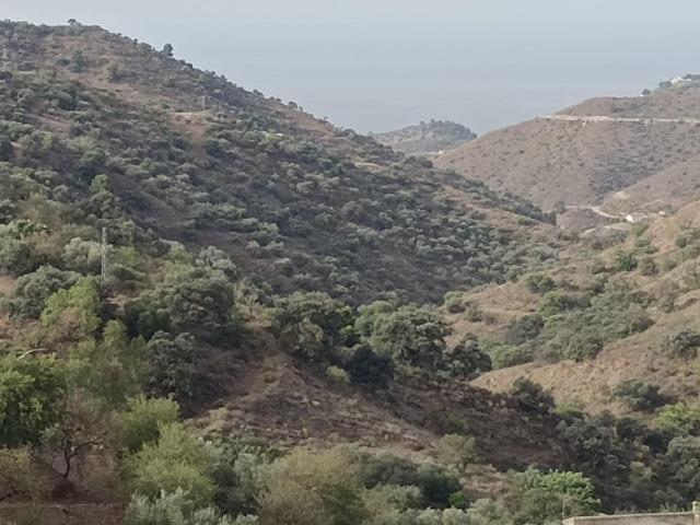 MAGNIFICA PARCELA CON VISTAS ESPECTACULARES A LA BAHÍA MALAGUEÑA EN OLIAS MÁLAGA