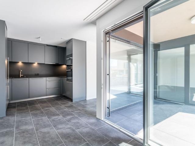 Magnificent 4.5 room apartment with loggia on upper ground floor