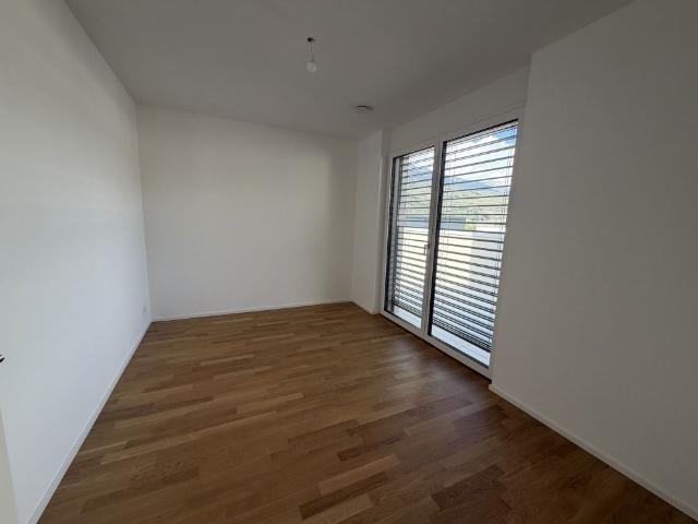 Magnificent 4.5 room penthouse with large terrace