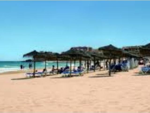 Magnificent Hotel / Aparthotel in Denia 250 meters from the sea with 122 working rooms