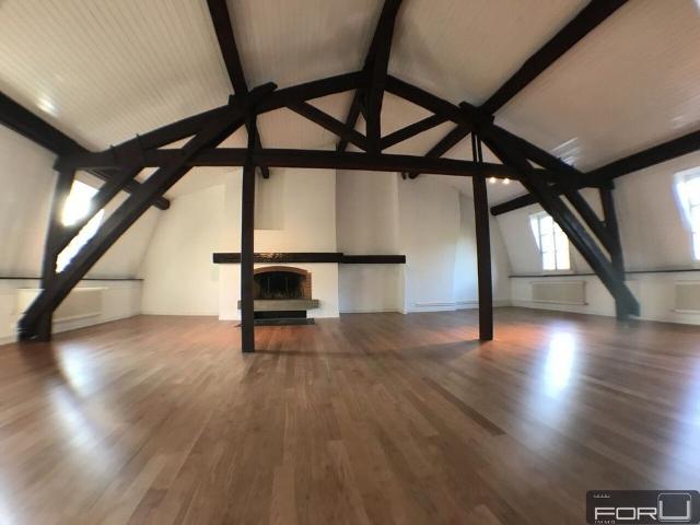 Magnificent, large, atypical and renovated attic in the Old Carouge