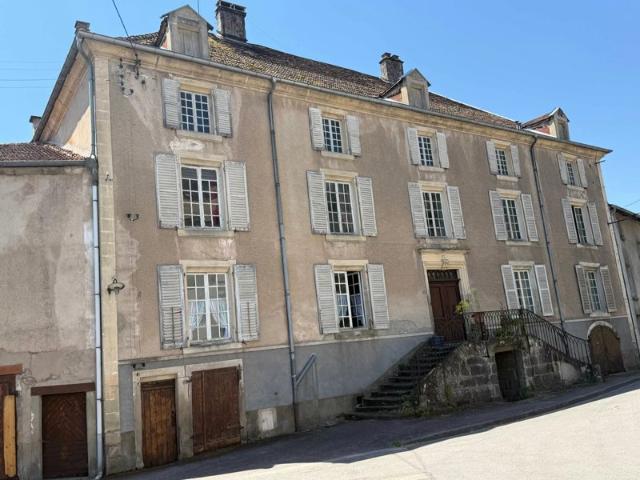 Magnifique manoir original dans un grand village avec toutes les commodités, situé au bord de la Saône