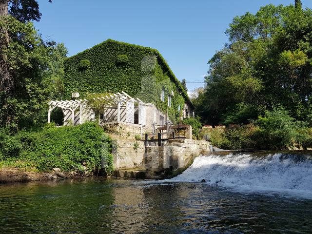 Magnifique moulin dans un parc