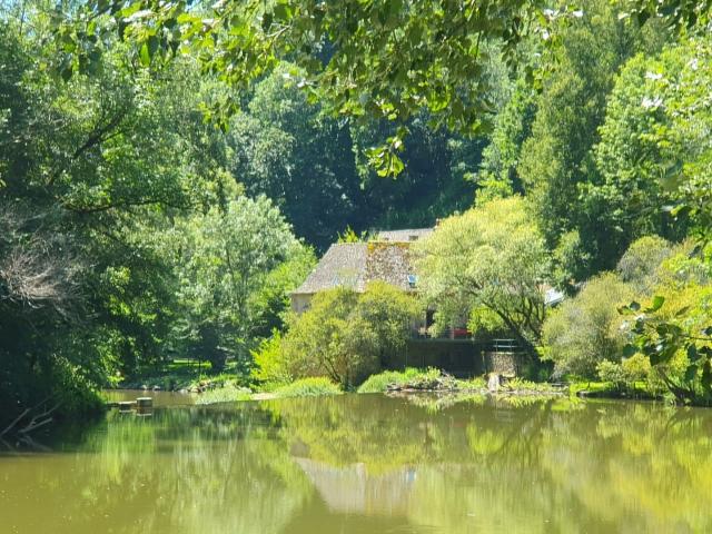 Magnifique moulin rénové dans un écrin de verdure 218m² Rignac
