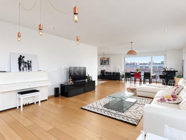 Magnifique attique contemporain avec terrasse