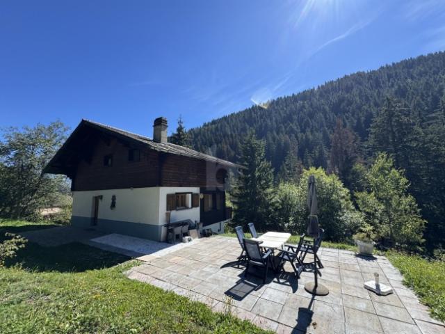 COEUR DES PORTES DU SOLEIL, MAGNIFIQUE AVEC SAUNA
