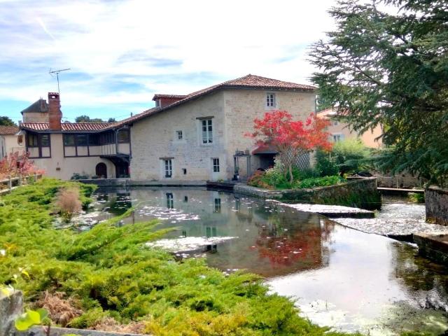 Magnifique Ancient Moulin Historique en Pierre, Au Cœur d'un. 320m² Lizant