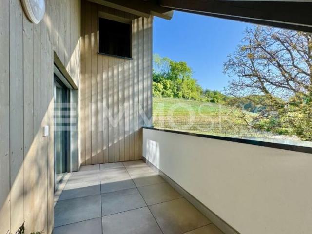 Spacieux appartement de 5.5 pces avec vue sur les vignes et les Alpes