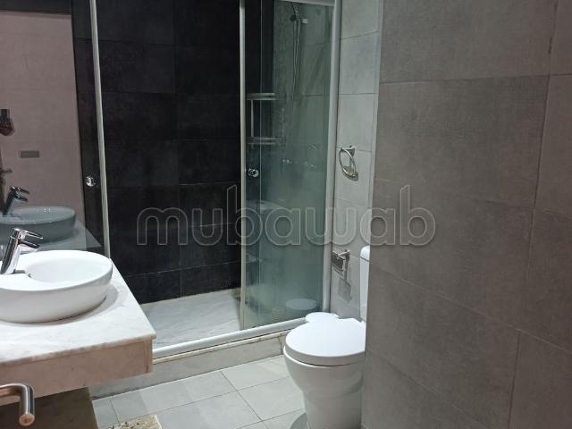 Magnifique Appartement en location