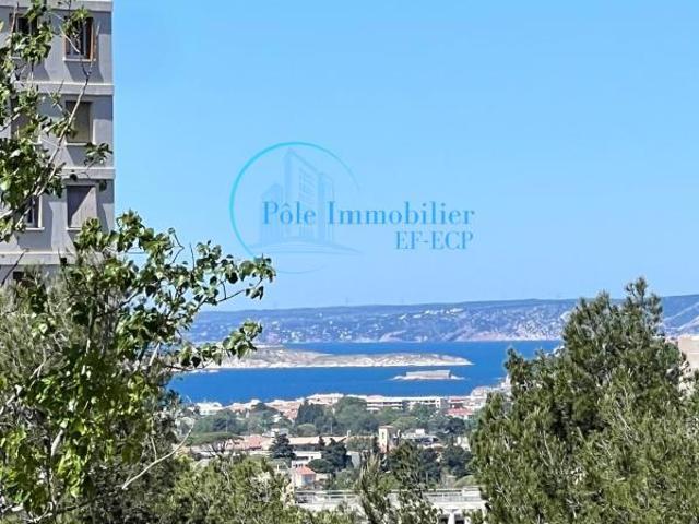 Magnifique Appartement Rénové T3/4