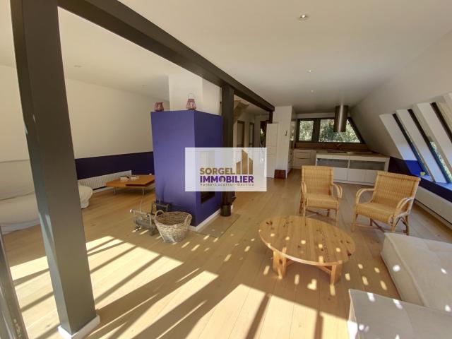 Magnifique Châlet en bois LE HOHWALD