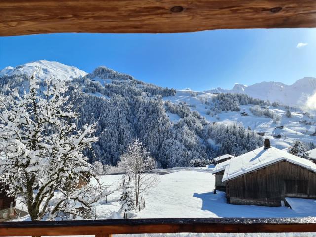 Magnifique Chalet Moderne au Grand Bornand: Un Cadre de Vie Idéal Toute l'Année