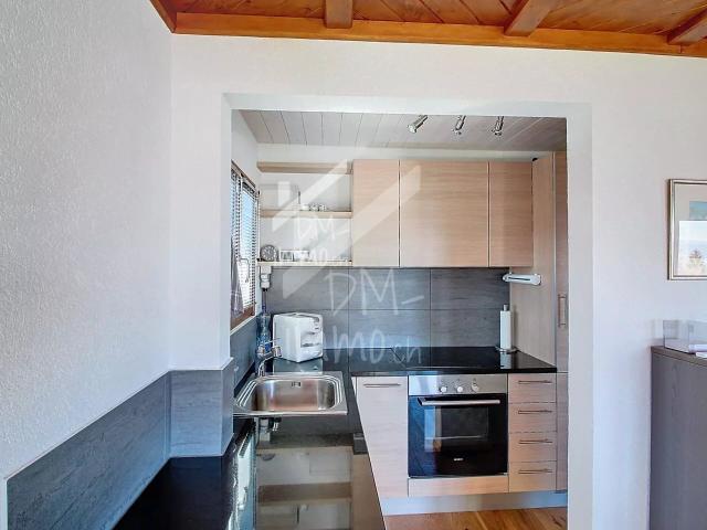 Magnifique chalet rénové avec studio Vente aux étrangers possible | dreamo. Ch