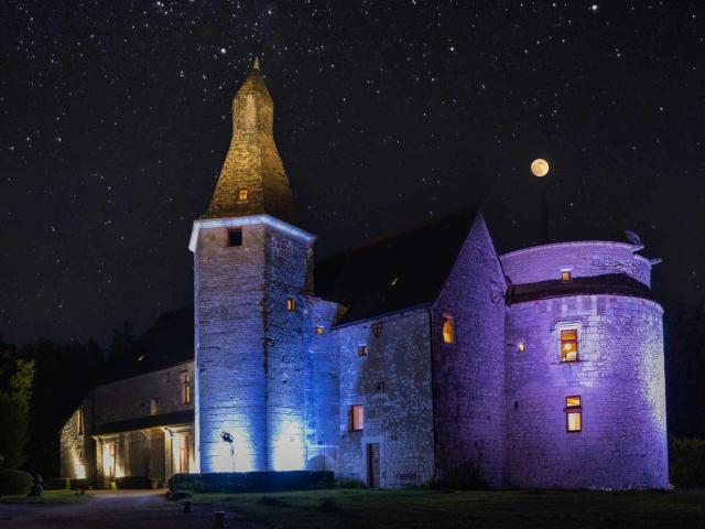 MAGNIFIQUE château du XVème siècle 100% rénové. 670m² Vou