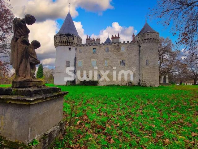Magnifique Château XIIè XIVè siècle dans le Berry 300m² Nevers