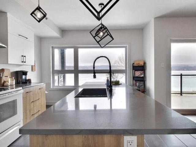 Magnifique condo sur le lac william