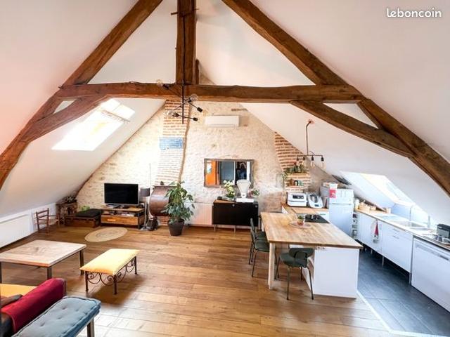 Magnifique Duplex au coeur de Monts