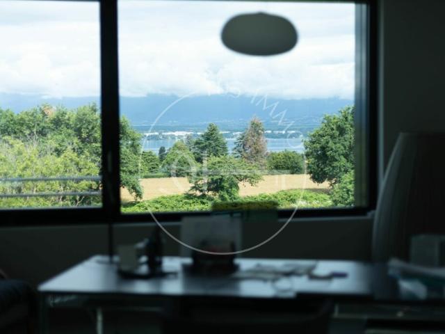 Magnifique duplex en attique avec vue lac