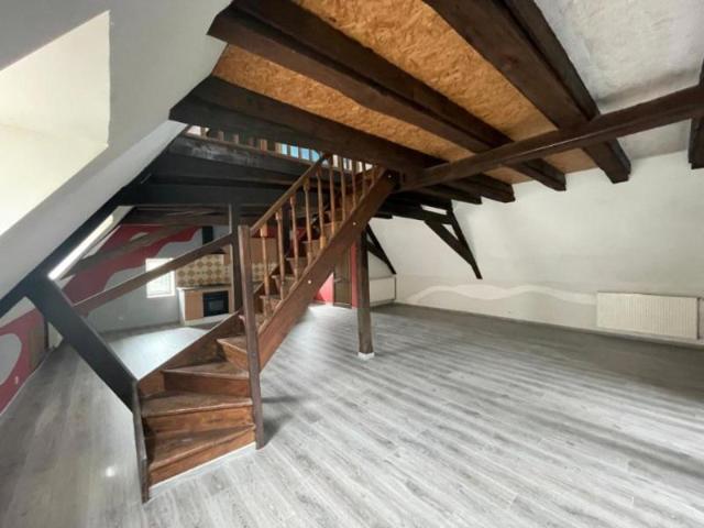 Magnifique Duplex située en plein centre ville de Saralbe
