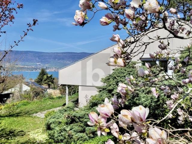 MAGNIFIQUE DANS UN ENVIRONNEMENT PAISIBLE