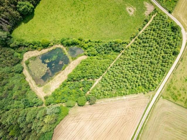 Magnifique parcelle arborée avec étang