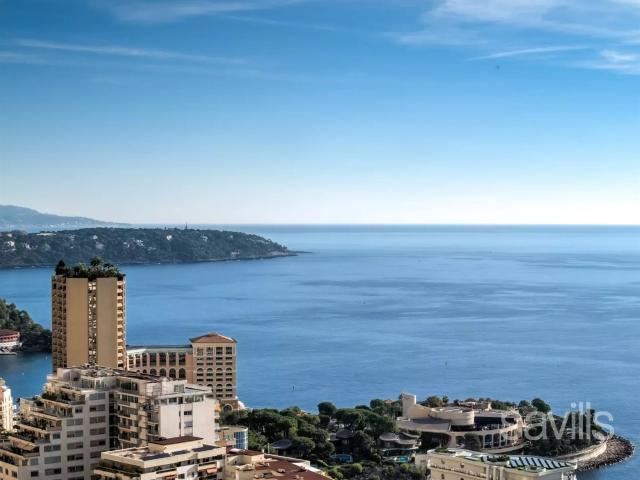 Magnifique penthouse avec vue sur Monaco 50m² Beausoleil