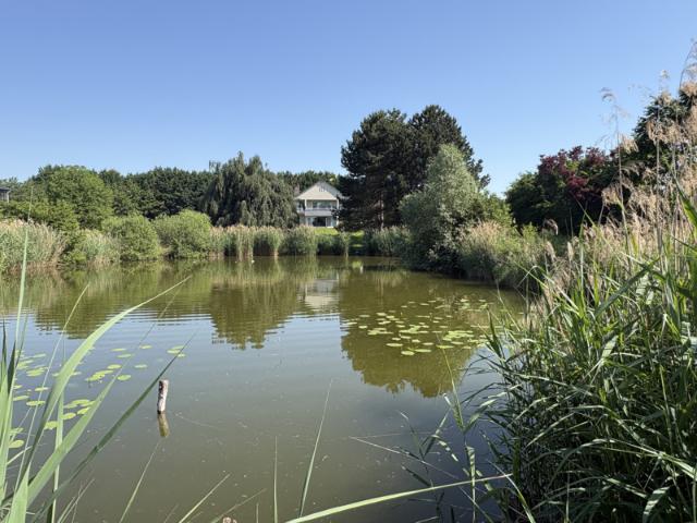 Magnifique propriété avec maison + étang sur 86 ARES
