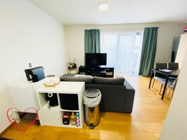 Magnifique studio avec 1 tersasse