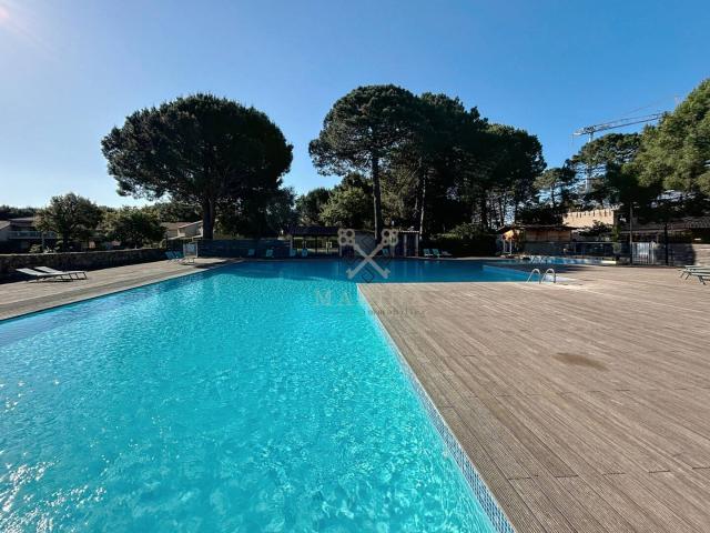 MAGNIFIQUE STUDIO CALA ROSSA PISCINE ET PLAGE A PIED