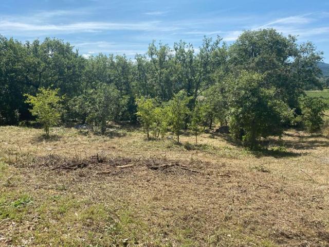 Magnifique terrain constructible